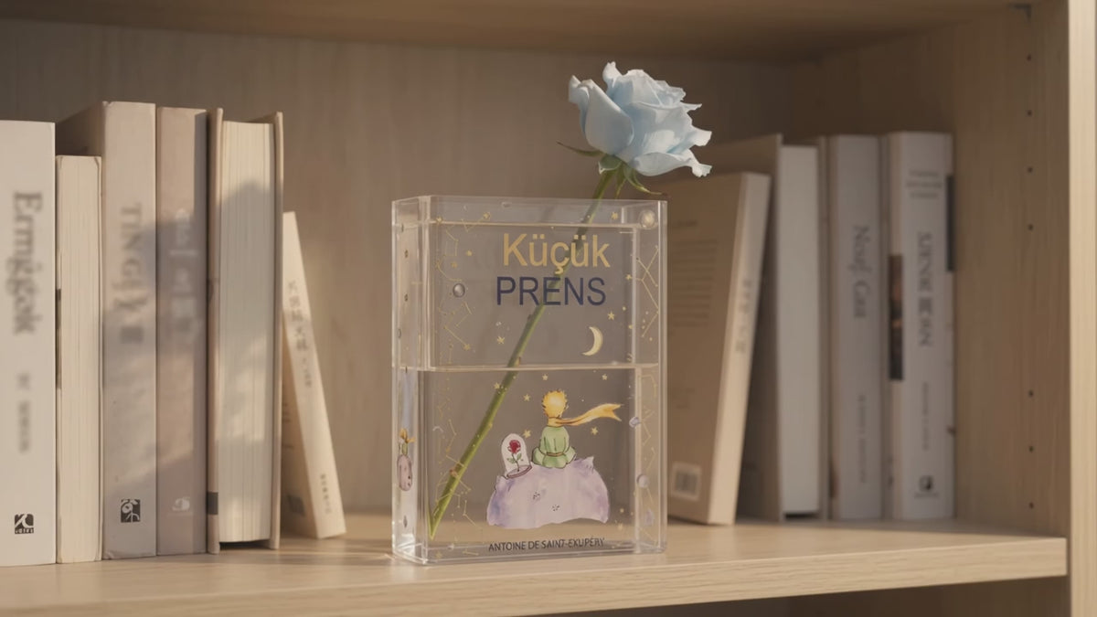 Küçük Prens Kitap Vazo